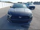 Ford Mustang Ecoboost Image 11