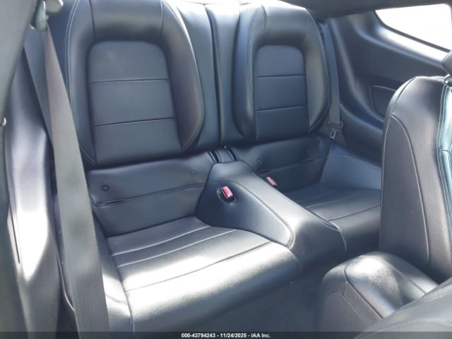 Ford Mustang Ecoboost Image 3