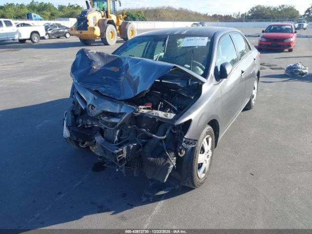 Toyota Corolla Le Image 3