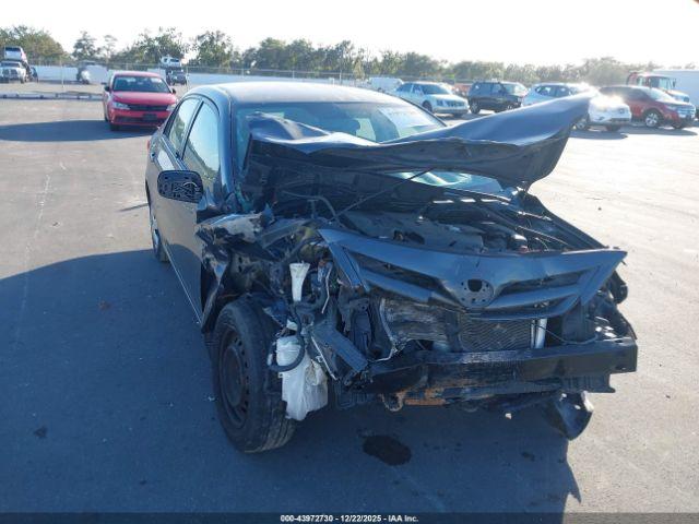 Toyota Corolla Le Image 7