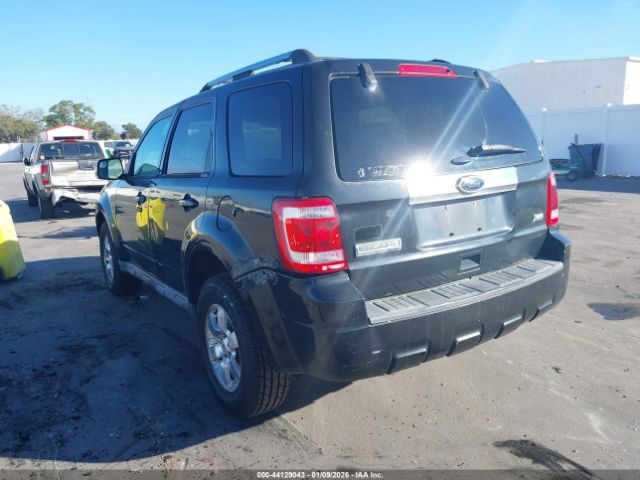 Ford Escape Limited Image 7