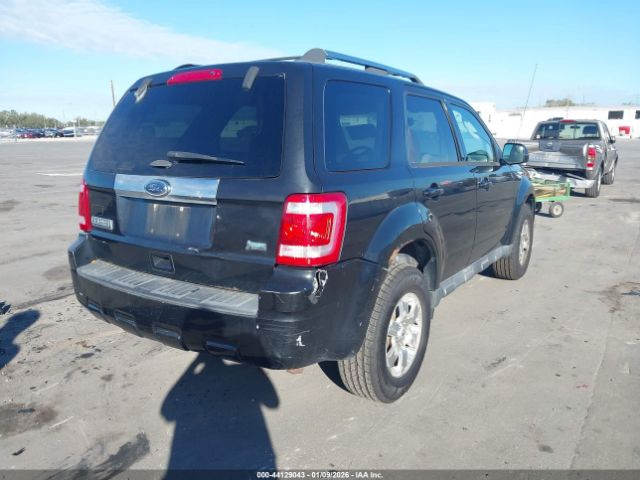 Ford Escape Limited Image 8