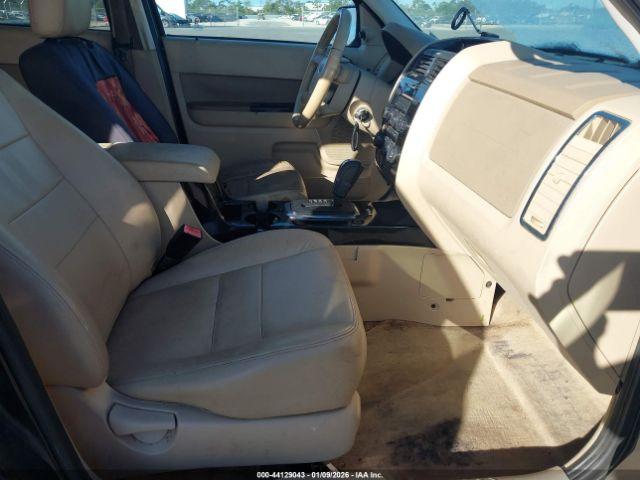 Ford Escape Limited Image 4