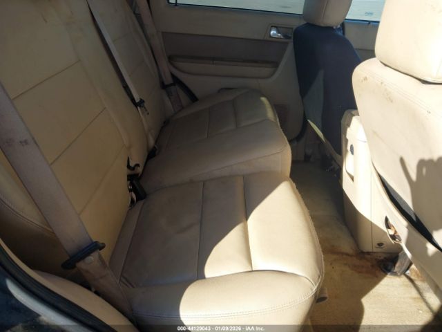 Ford Escape Limited Image 2